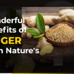 Ginger Benefits, Health Benefits of Ginger, Genmedicare