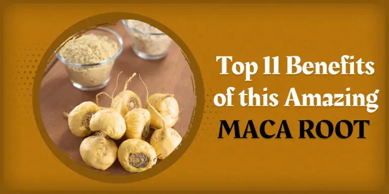 Maca Root, health, Genmedicare