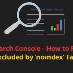 Fix “Excluded by noindex tag” in Google Search Console